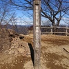 日の出山　ニホンカモシカに遭遇