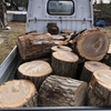 Refill firewood　薪を仕込む