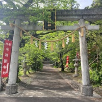 僕が思う神社の魅力