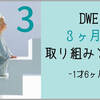 【DWEの取り組みと成果】特に成果なし！?開始3ヶ月目（長男1歳6ヶ月）