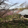 浄慶寺をとおって、散歩