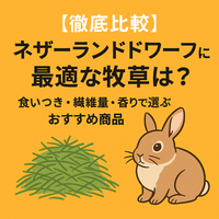 【徹底比較】ネザーランドドワーフに最適な牧草は？食いつき・繊維量・香りで選ぶおすすめ商品
