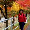 日本　背景は紅葉並木