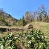 仁府新ため池（山形県長井）