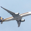 SQ321乱気流事故で死傷者発生