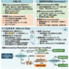 外傷・術後の抗てんかん薬：いつ始めて、いつ止めるか