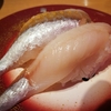 グランドパーク小樽近くの回転寿司「魚一心」小樽店で北海道ネタを満喫！