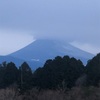 今朝の景色