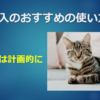 臨時収入のおすすめの使い方5選