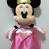 ディズニーランドで買ってきたおみやげ