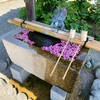 21年6月の善峯寺のお話。2