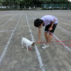 上達