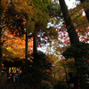 有馬・瑞宝寺公園の紅葉