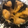 「みやぎ鮮魚店」で新鮮魚介昼飲み