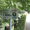 梅雨入り前の、白水公園。