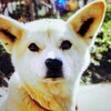 心から好きなもの