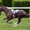 【推薦】ぼんどの競馬場のすすめ