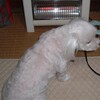 過去の写真より15
