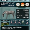 ダビマス　６.５周年記念公式ＢＣに向けての生産⑥　レインボウクエスト1薄肌シュラバ3薄〆結果！！！
