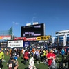 【レースレポ】新宿シティハーフマラソン(10km)