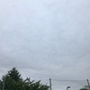 雨上がりのパトロール