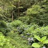 逆に減らしてるところなのです_:(´ཀ`」 ∠):