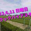 2023,6,11 日曜日 トラックバイアス予想 (東京競馬場、阪神競馬場、函館競馬場)