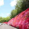 4月20日　ちょっとそこまで　またまた岡崎公園