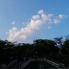 星に願いを
