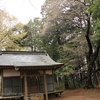 粟野町八幡神社の山桜・・