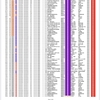 10658人のワクチン接種後副反応例