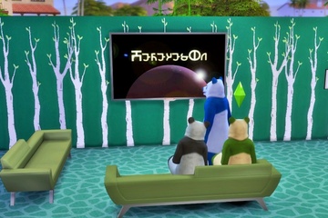 3頭のパンダチャレンジ（14）