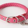 愛犬がもっとお洒落に！アドメイトマニエラ首輪で実現する上品スタイルと安全性
