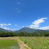 2022/06/04 土曜日　勝手に雲の観察会