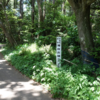 滝台古墳　千葉県旭市鏑木