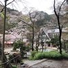 高尾山　雨と桜と