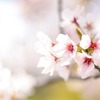 家族　大切なことは・・・