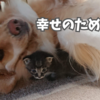 幸せのために仕事する。