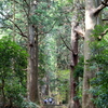 自転車日本一周3日目！世界遺産へ！