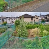 畑のものとか
