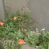 8月２５日 