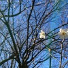 過去も含めて今の私なんだ～私の中にある闇～
