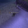 FF11 獣使い de 闇王討伐へ