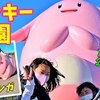 12月14日の動画