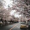 桜通り vs 僕