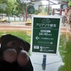 #上野動物園#アルン、砂の入れ替え