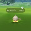 タネボーコミュデイの成果とPVPで使った感想【ポケモンGO】