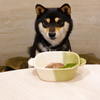 【店内犬OK】犬の誕生日プレゼントがもらえるお店 ～東京 立川松栄寿司・スイスレストラン セントバーナード～　