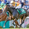 競馬初心者必見☆馬券予想🔥〜アイビスSD〜外枠有利もリピーターにはご注意を