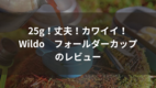 登山に使う超軽量コップの考察とWildo ウィルドゥ フォールダーカップのレビュー
